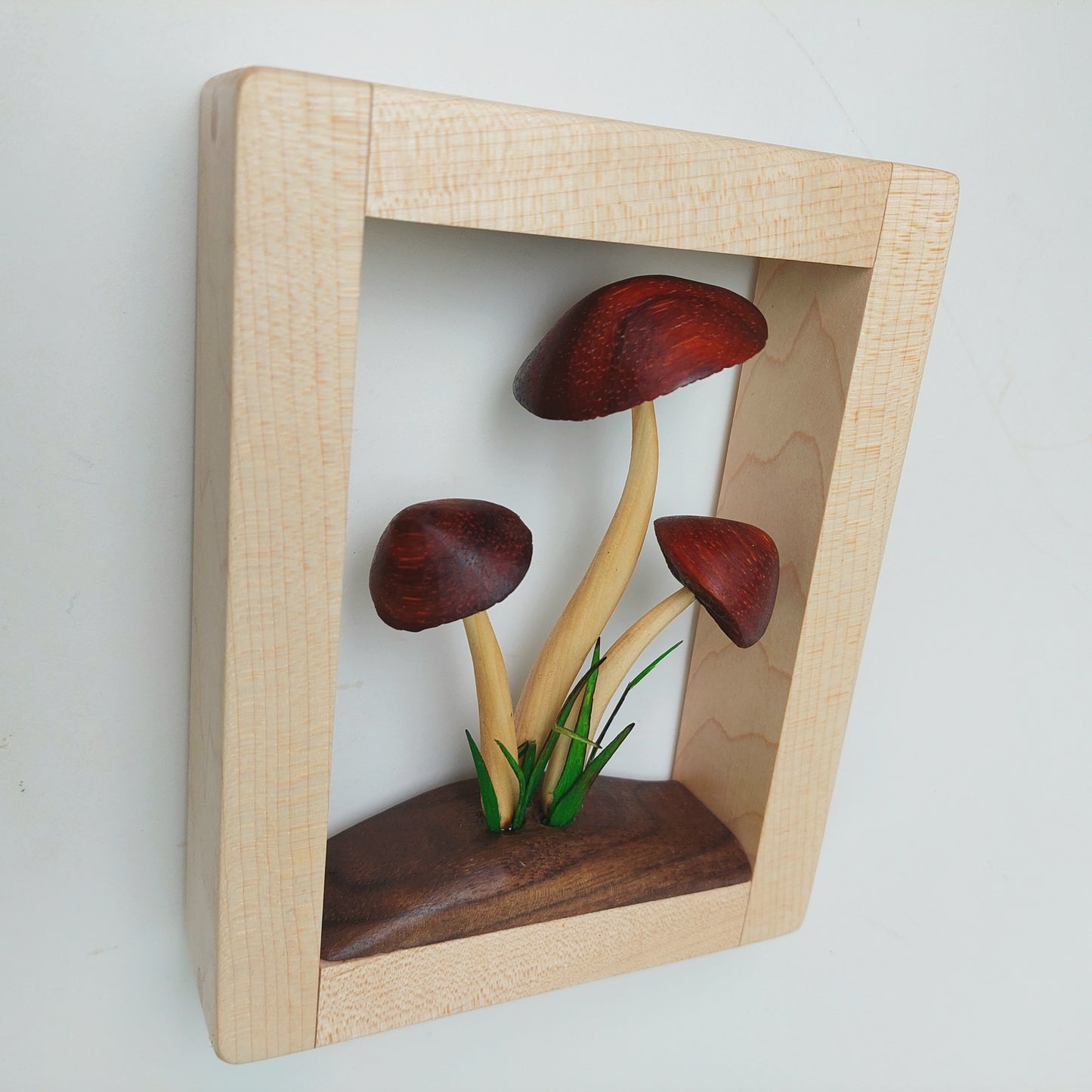 Mushrooms in hanging frame
