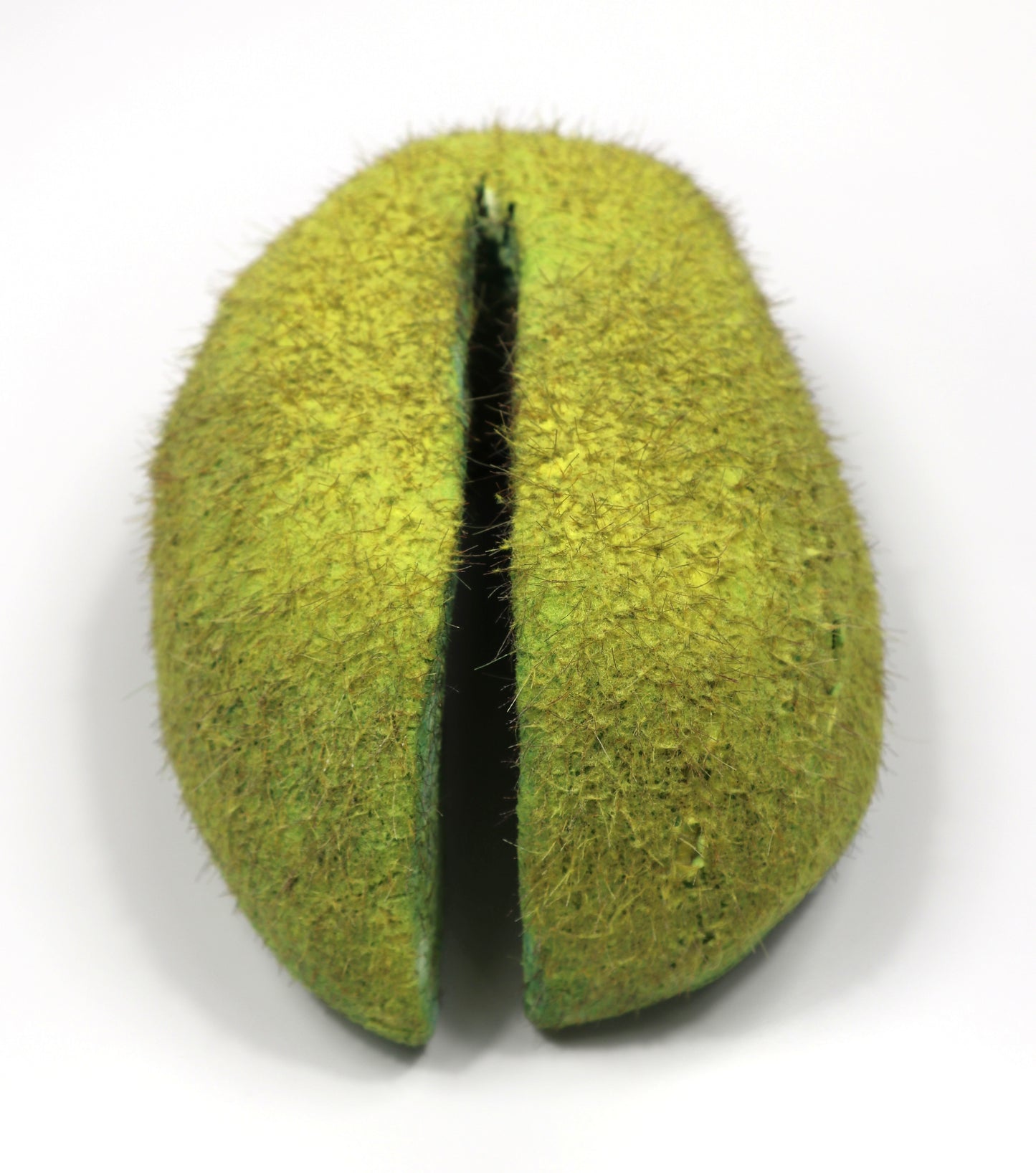 Kolk 5