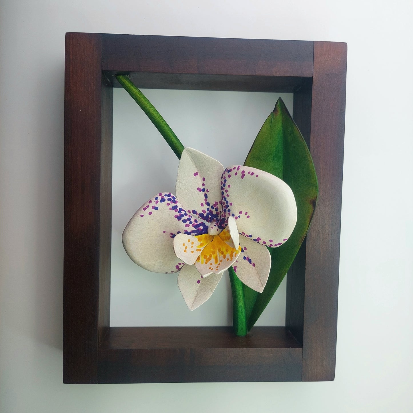 Orchid in hanging frame