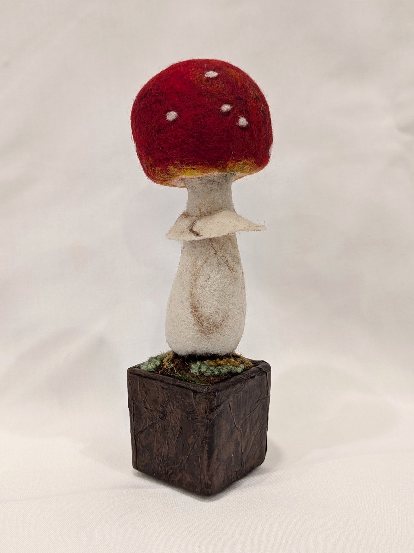 Amanita