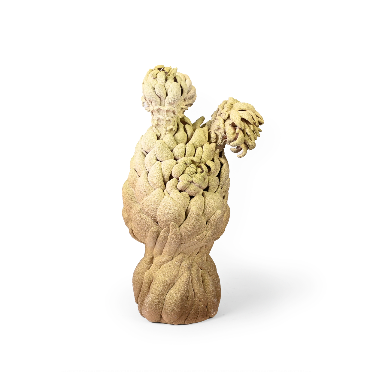 Budding: Exploration 1