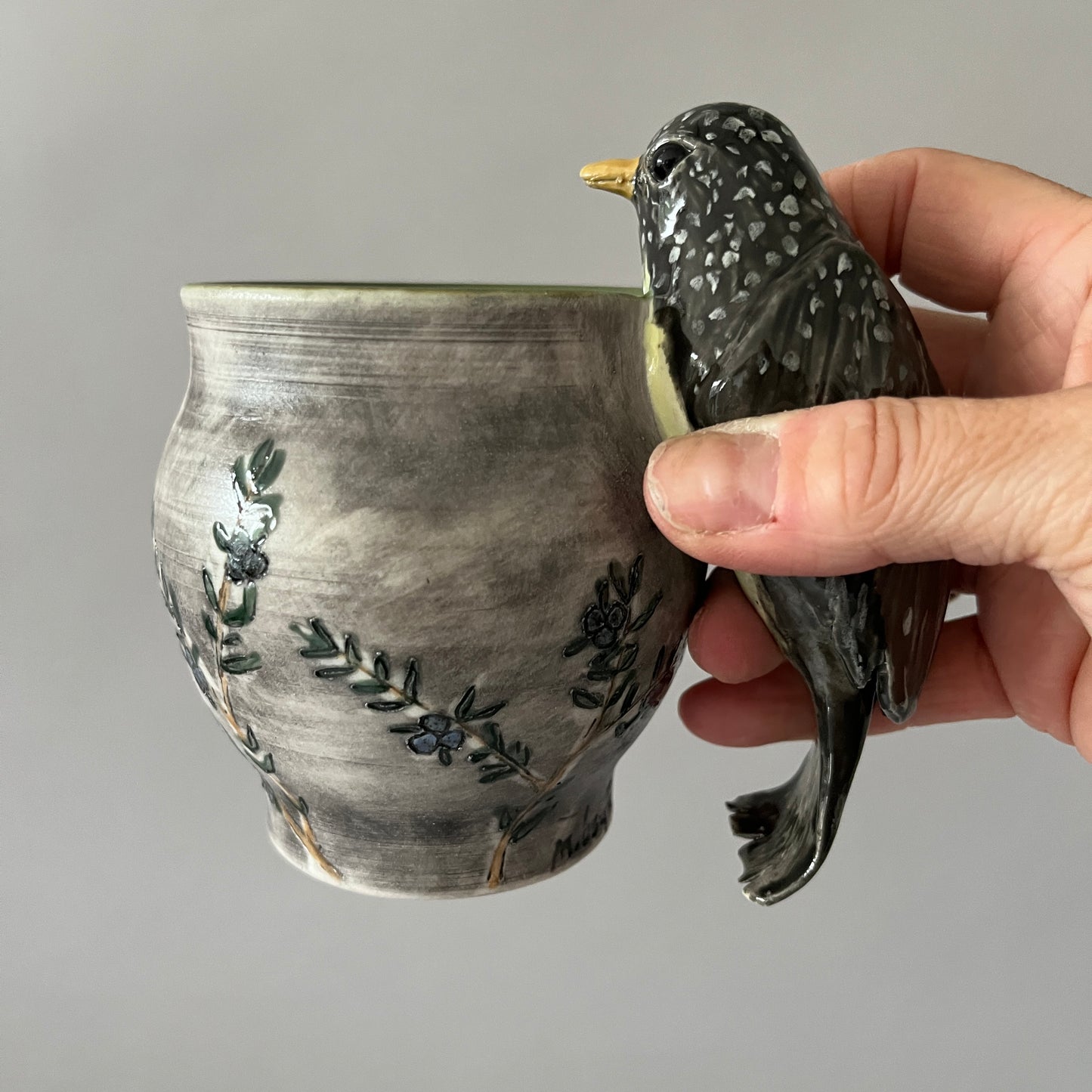 Pretty Bird with Juniper