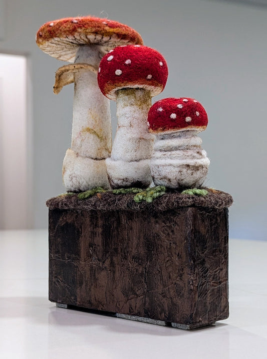 Three Amanitas