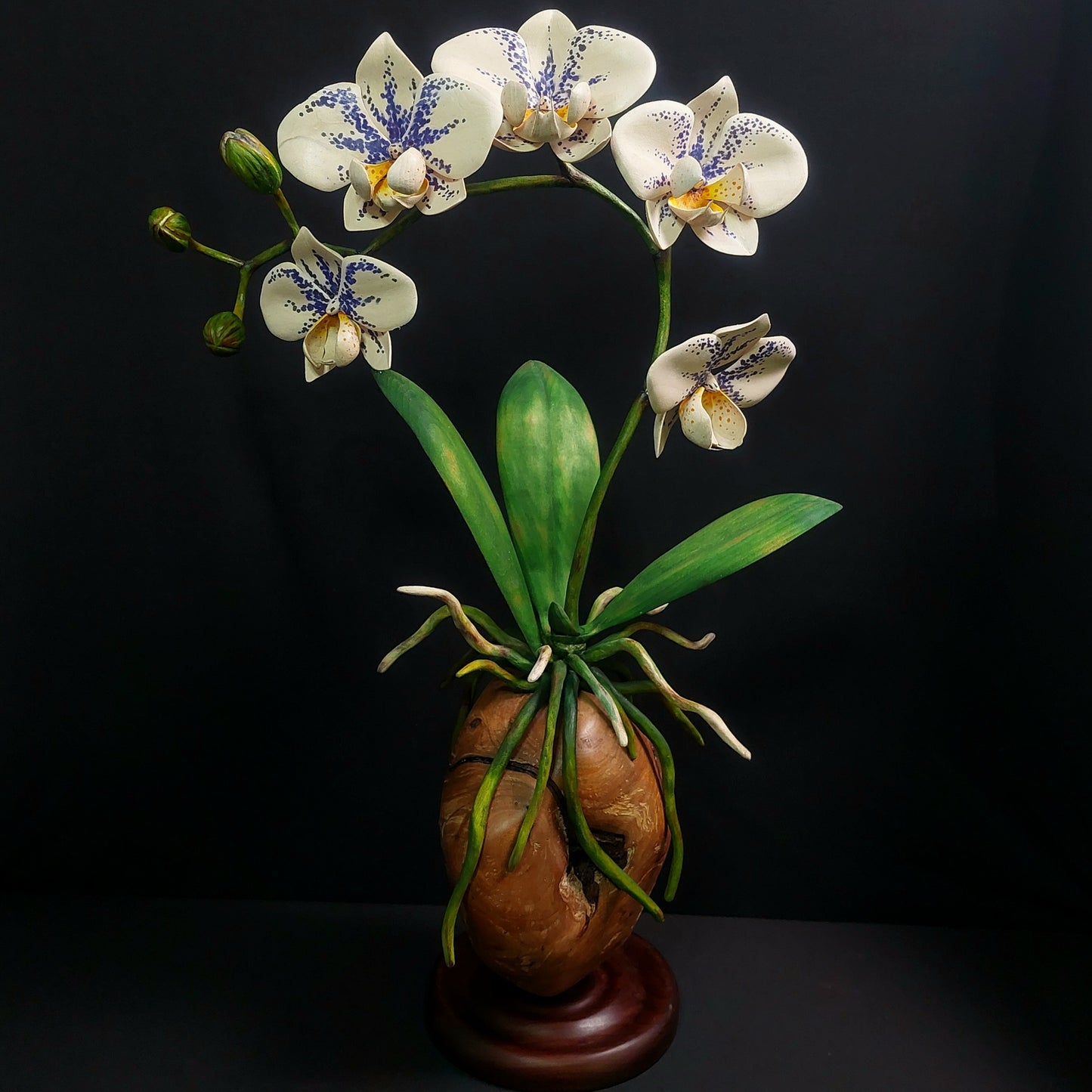Epiphytic Tradition