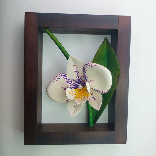 Orchid in hanging frame