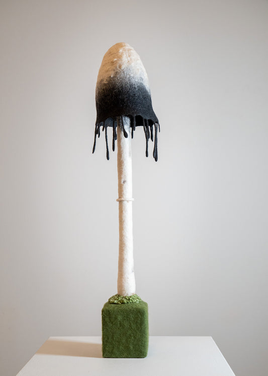 Shaggy Mane