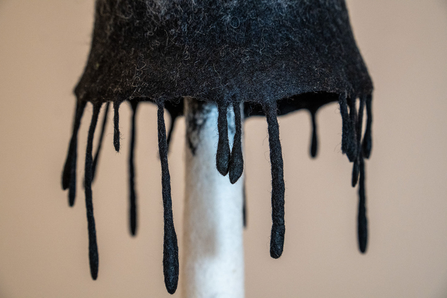Shaggy Mane