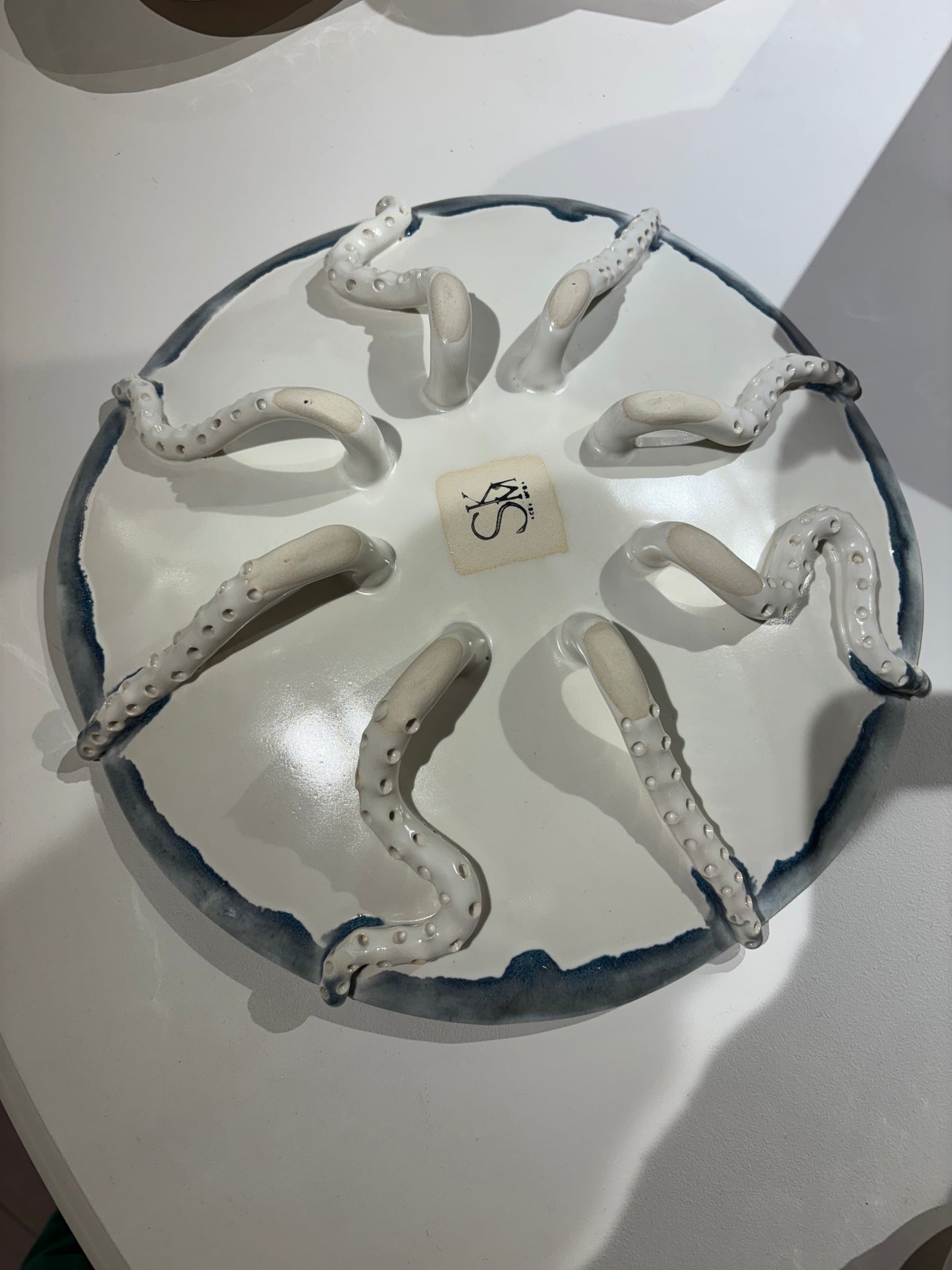 Tentacle Bowl with Whales