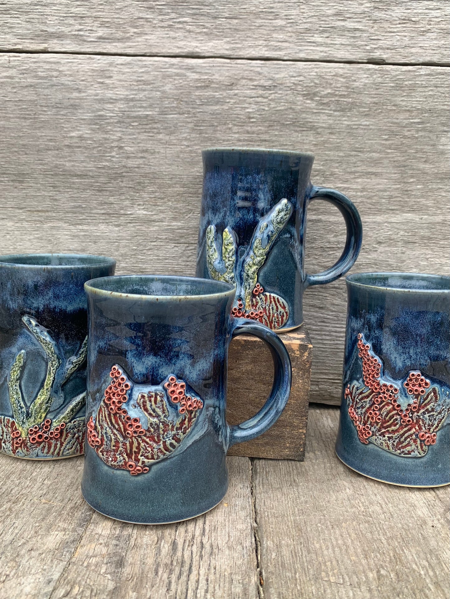 Coral Reef Series