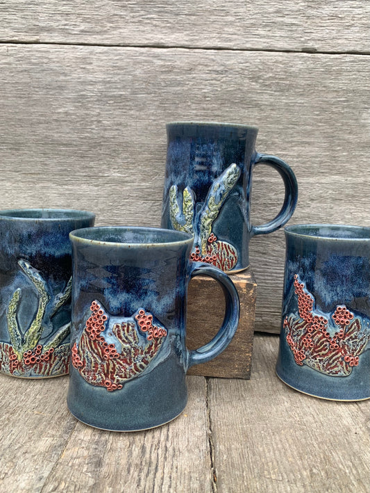Coral Reef Series