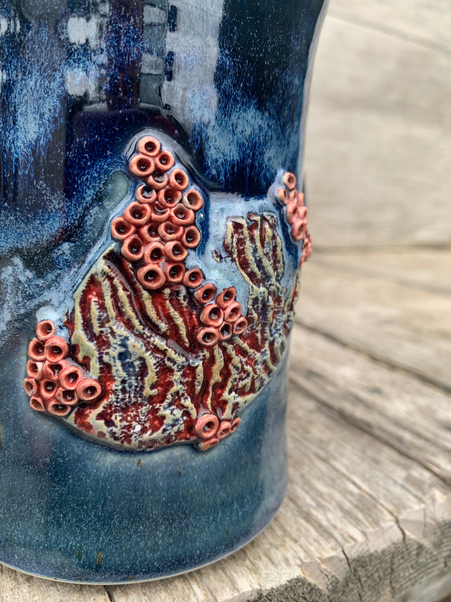 Coral Reef Series