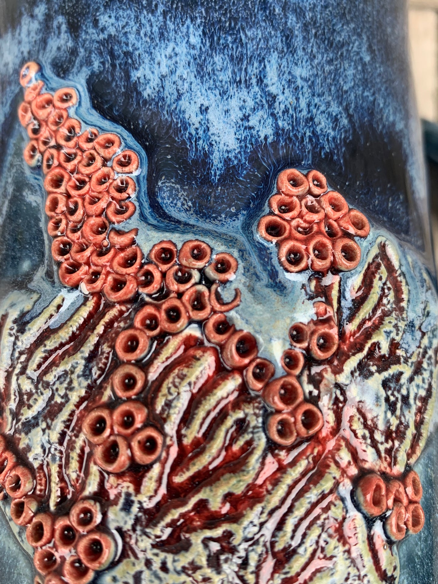 Coral Reef Series