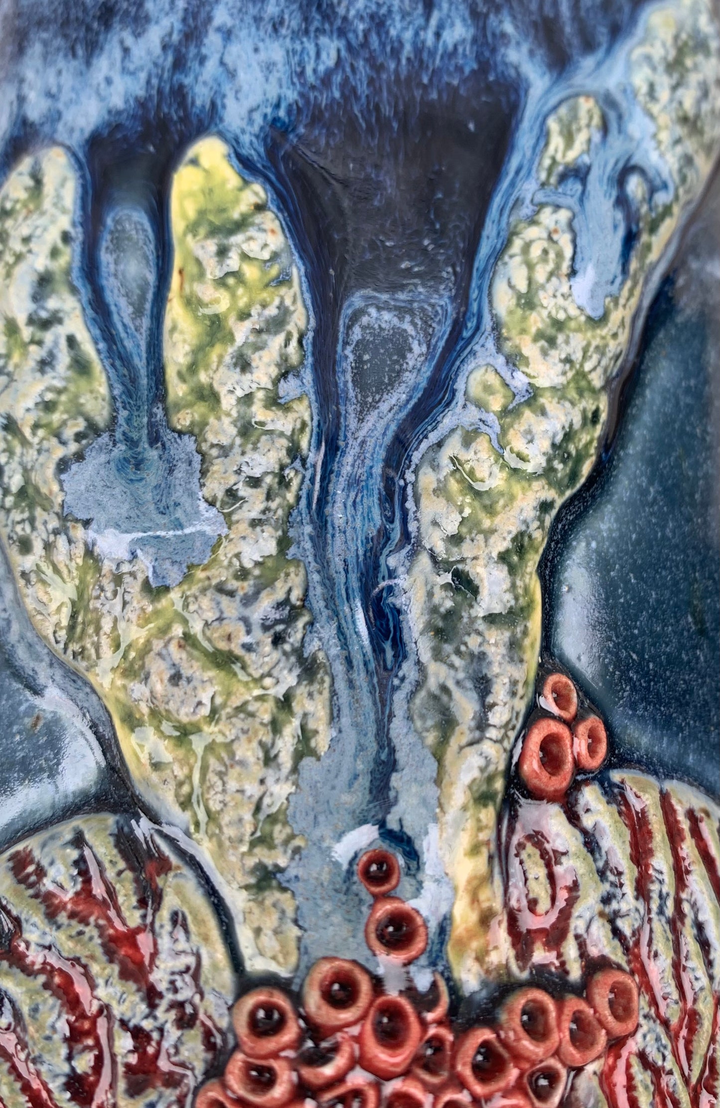 Coral Reef Series