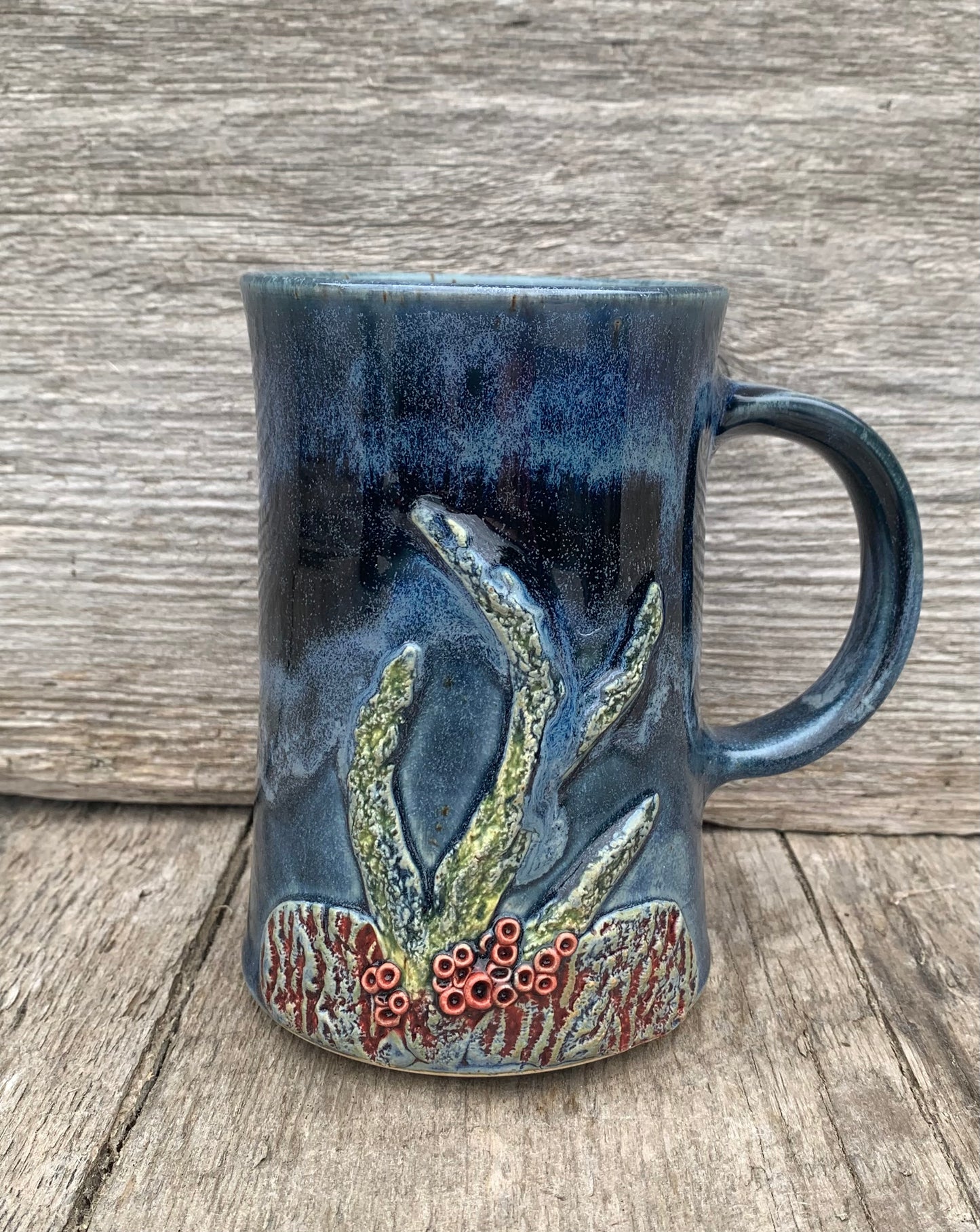 Coral Reef Series