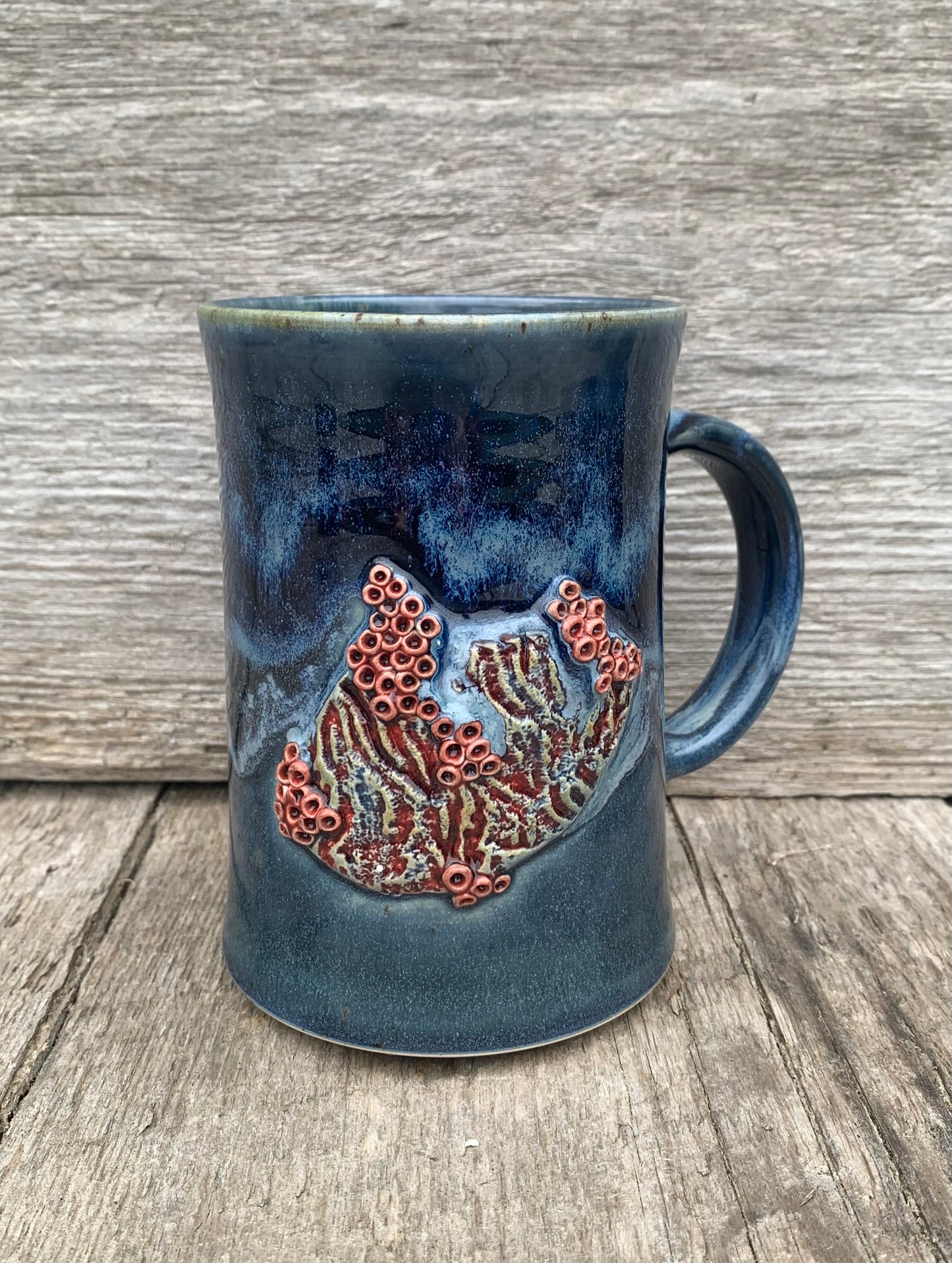 Coral Reef Series