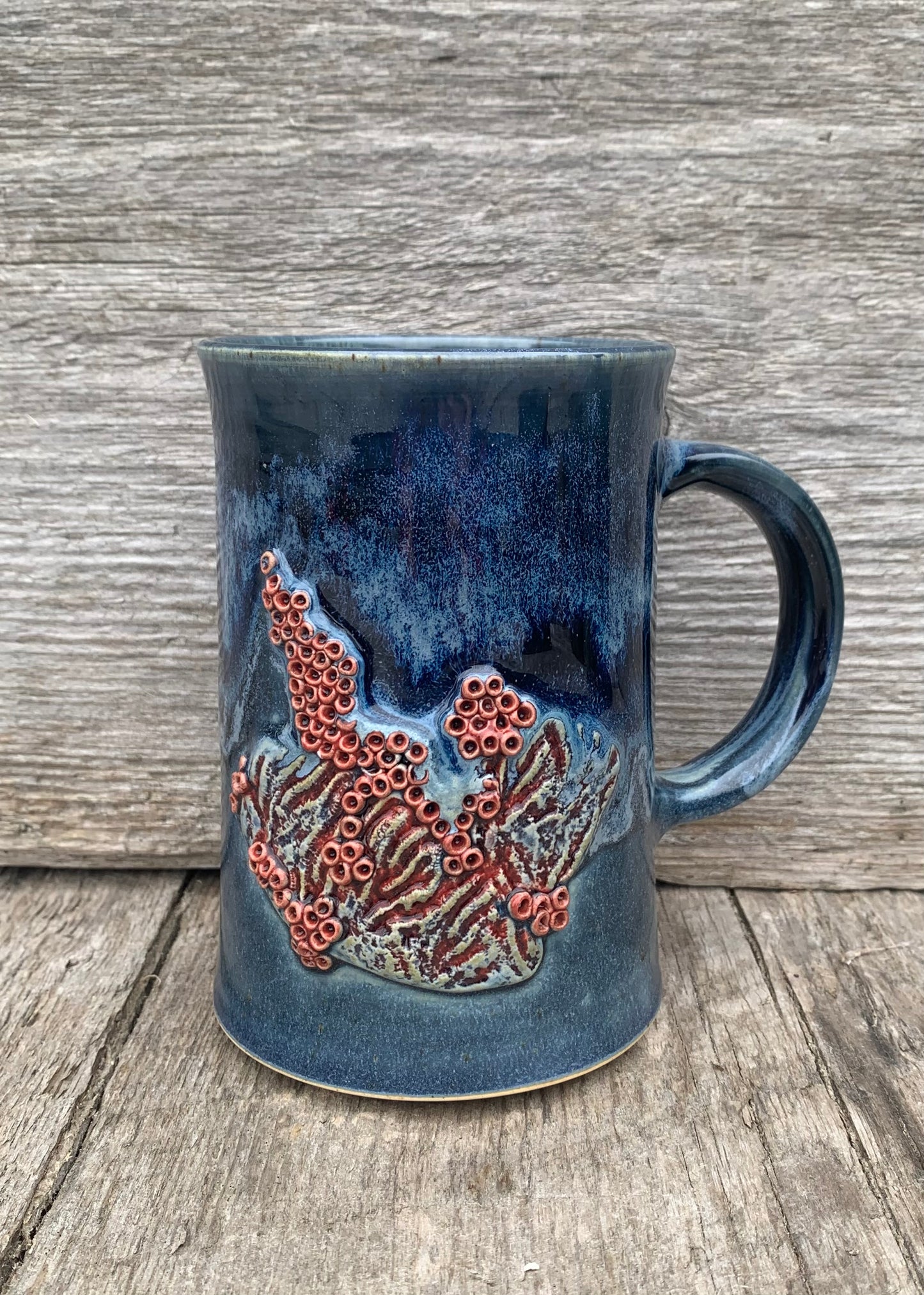 Coral Reef Series