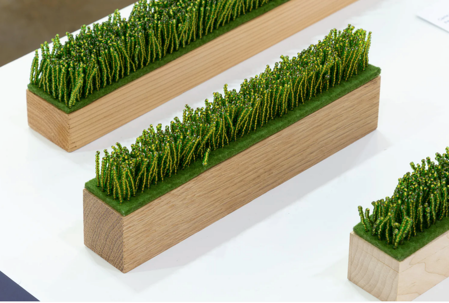 Grass
