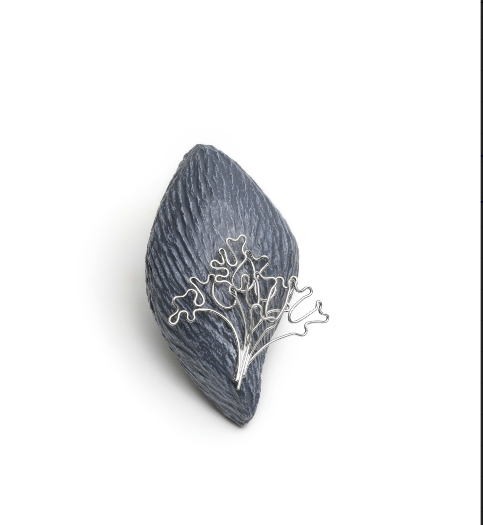 Seaweed 2