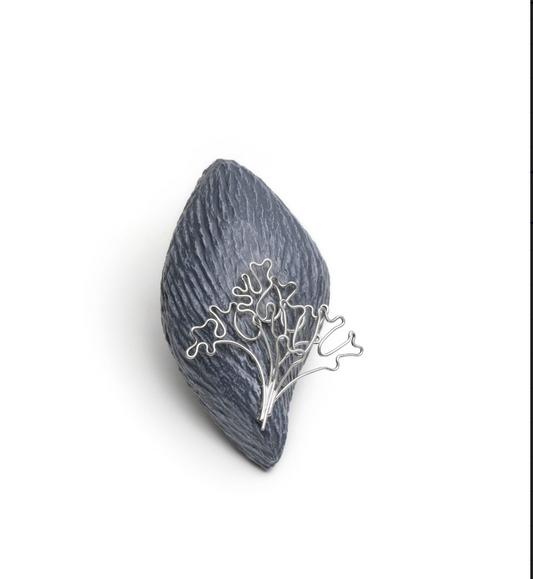 Seaweed 2